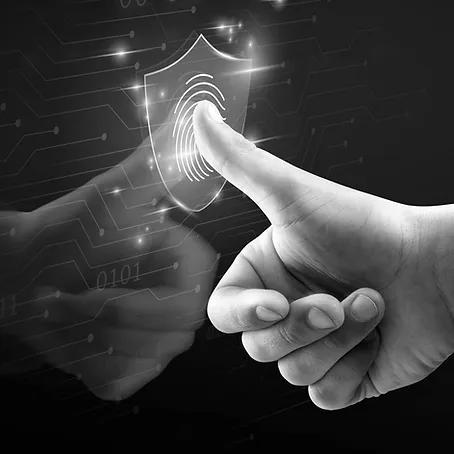 СИСТЕМА ОХОРОНИ ТА БЕЗПЕКИ image